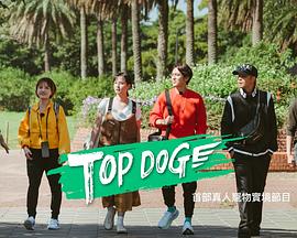 抖淫短视频《TOP DOG》免费在线观看