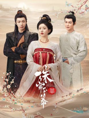 抖抈社区《珠帘玉幕》免费在线观看