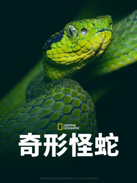 抖阴《奇形怪蛇》免费在线观看